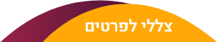 צללי לפרטים